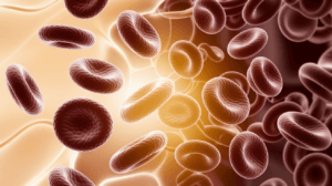 a close-up of red blood cells
